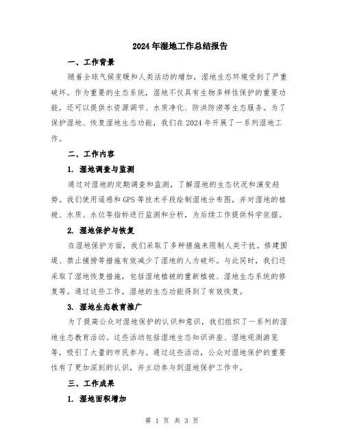 2024年湿地工作总结报告