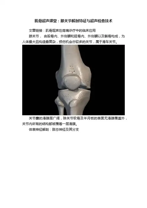 肌骨超声课堂：膝关节解剖特征与超声检查技术