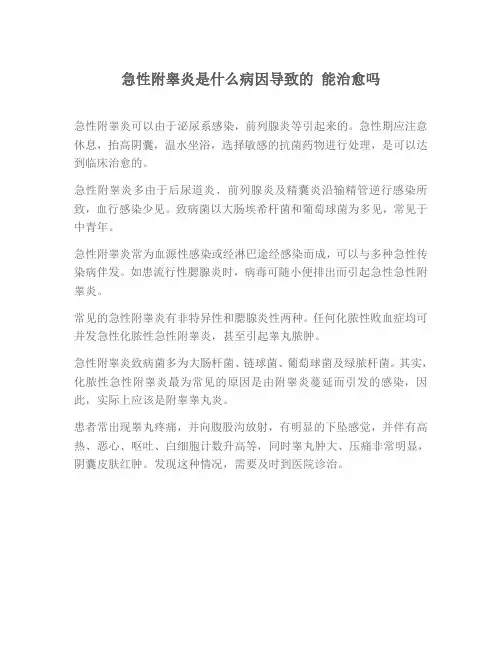 急性附睾炎是什么病因导致的 能治愈吗
