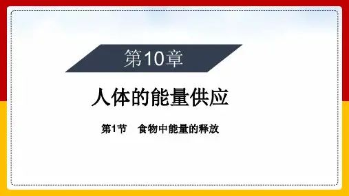 初中生物北师大版七年级下册《第10章人体的能量供应第1节食物中能量的释放》课件