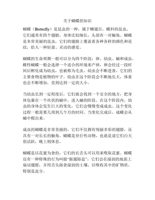 关于蝴蝶的知识