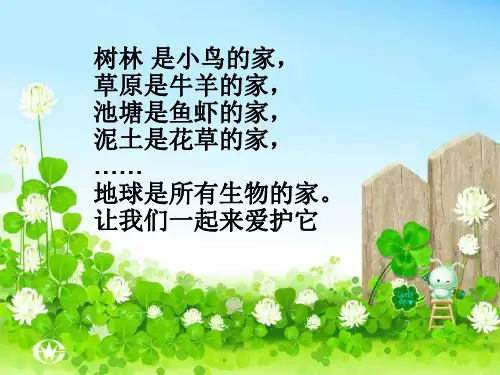 苏教版科学六年级下学期ppt课件6B41寻找生物的家园