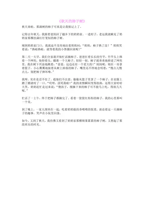 《秋天的柿子树》
