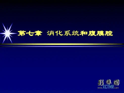 肝脏、胆系、胰腺和脾脏影像诊断