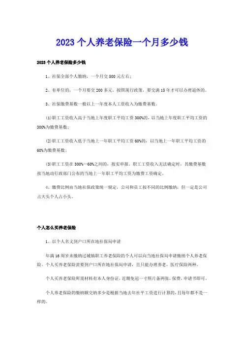 2023个人养老保险一个月多少钱