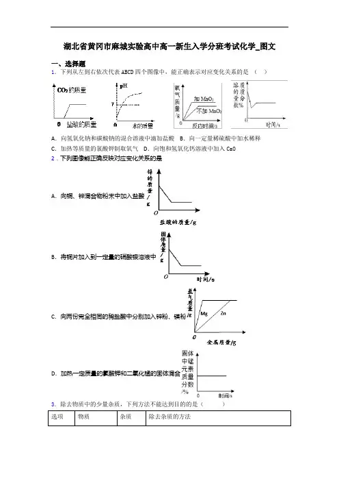 湖北省黄冈市麻城实验高中高一新生入学分班考试化学_图文