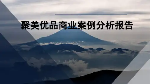 聚美优品商业案例分析报告PPT