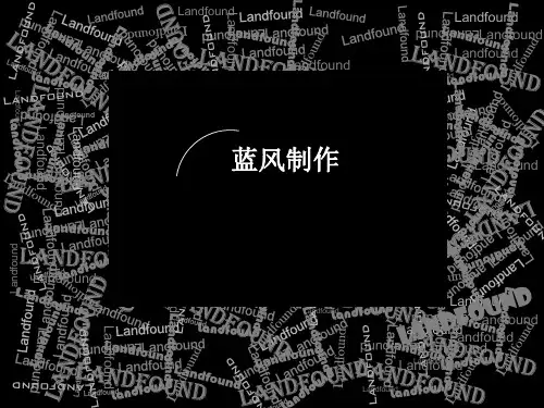 蓝风精品-南京江宁五矿龙湖湾别墅营销策划报告