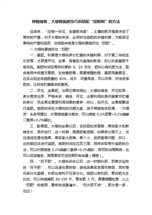 种植樱桃，大樱桃施肥技巧和搭配“授粉树”的方法