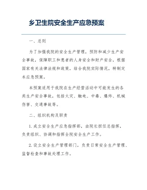 乡卫生院安全生产应急预案