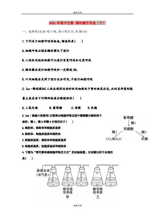 2021年高中生物 课时提升作业(十)