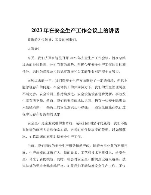 2023年在安全生产工作会议上的讲话