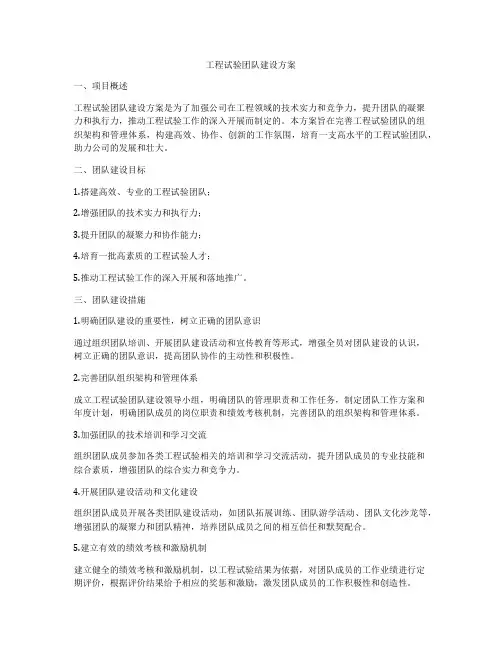 工程试验团队建设方案