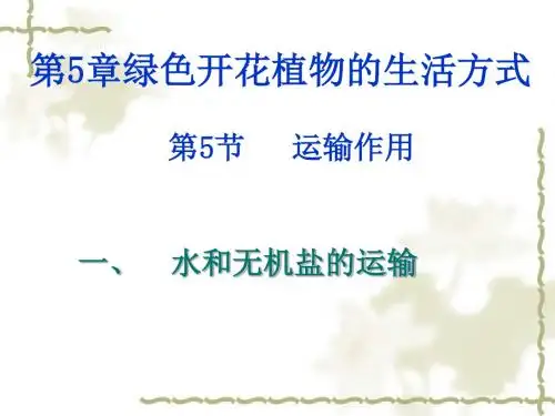 北师大版初中生物七上第三单元第五章第5节《运输作用》课件(共33张ppt)(共33张PPT)