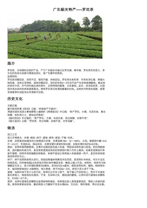广东韶关特产-----罗坑茶