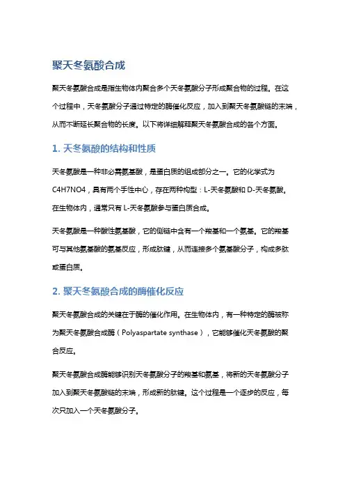 聚天冬氨酸合成