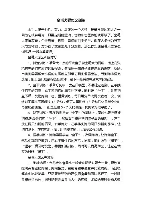 金毛犬要怎么训练