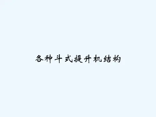 各种斗式提升机结构