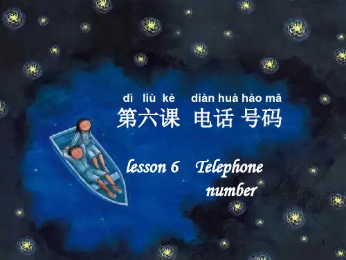 轻松学中文第六课  ppt课件