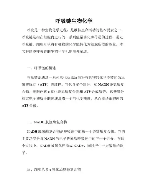 呼吸链生物化学