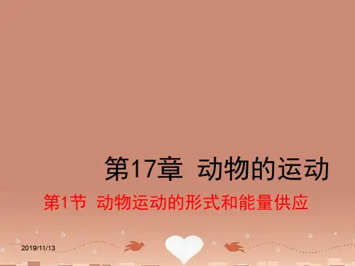 苏教版初二上册生物第6单元第17章第1节动物运动的形式和能量供应(3)
