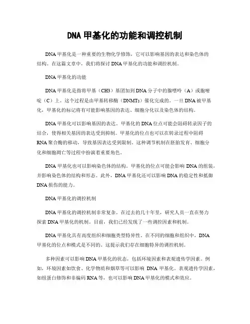 DNA甲基化的功能和调控机制