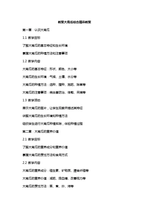 大南瓜综合教案