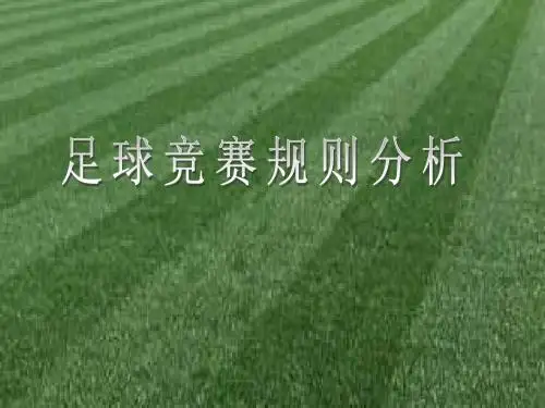 足球竞赛规则与裁判法分析