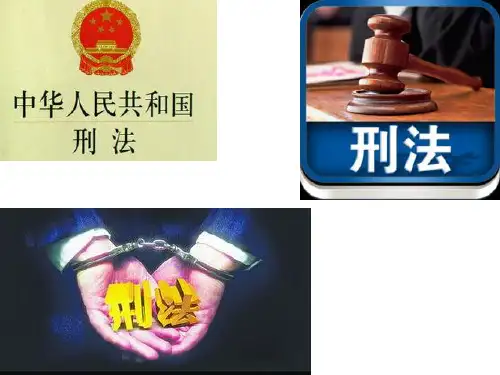 第六章  第三节(刑法)
