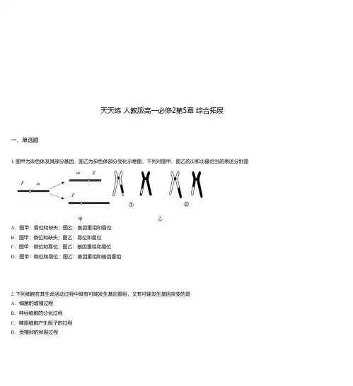 天天练 人教版高一必修2第5章 综合拓展