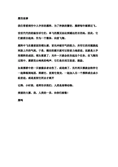 雁的故事