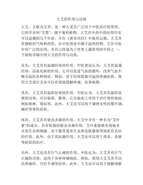 大艾的作用与功效
