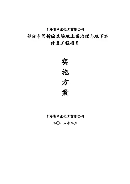 中星化工部分车间拆除场地土壤治理与地下水修复工程项目实施方案 