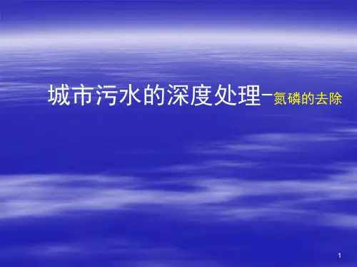 氮磷的去除精品PPT课件