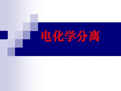 电化学分离