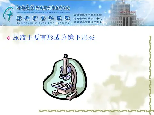 尿液主要有形成分图