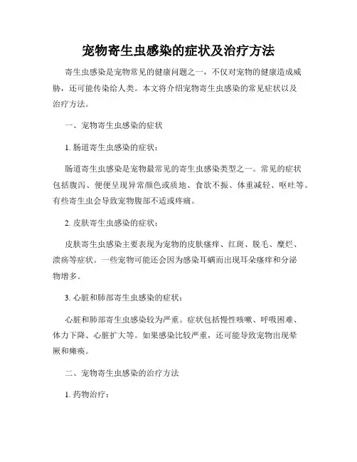 宠物寄生虫感染的症状及治疗方法