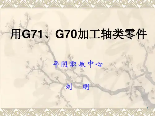 G71ppt课件