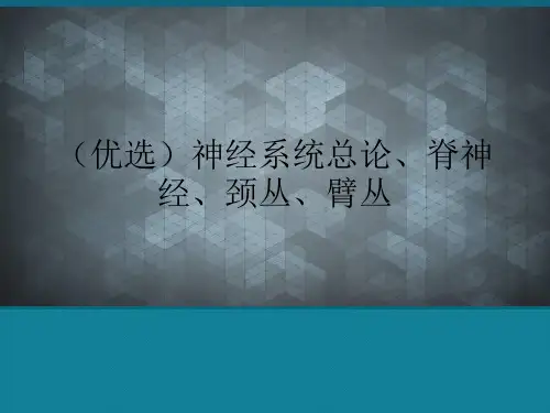 (优选)神经系统总论、脊神经、颈丛、臂丛