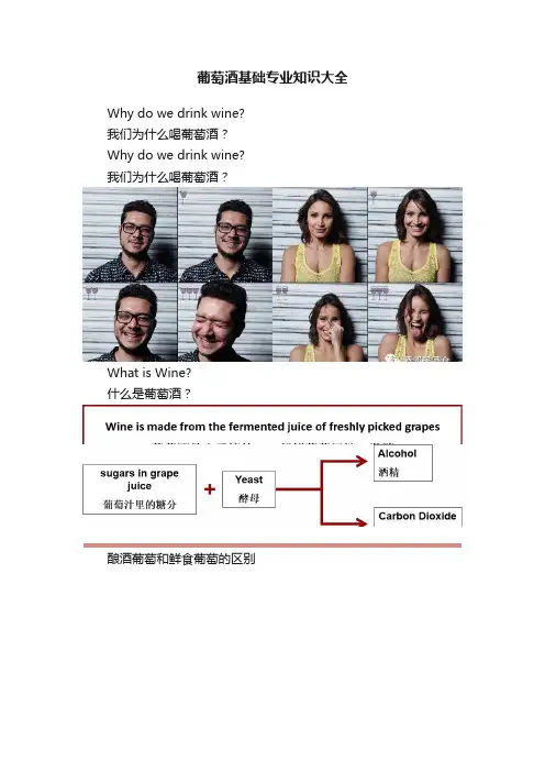 葡萄酒基础专业知识大全