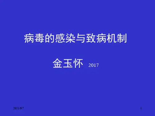 病毒的感染与致病机制PPT课件