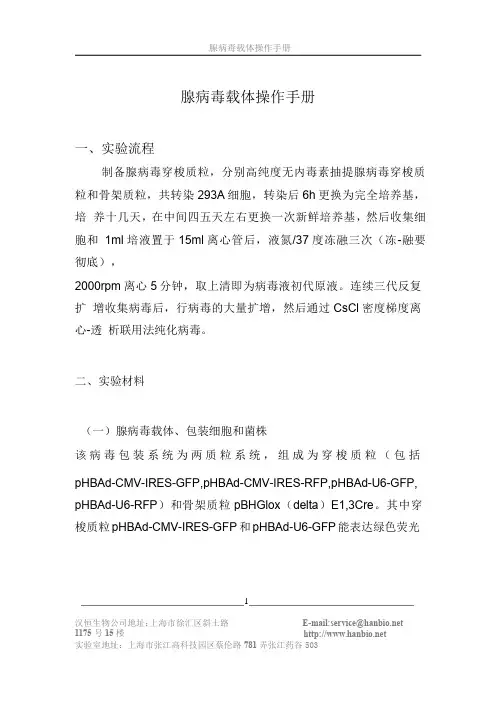 汉恒腺病毒载体操作手册