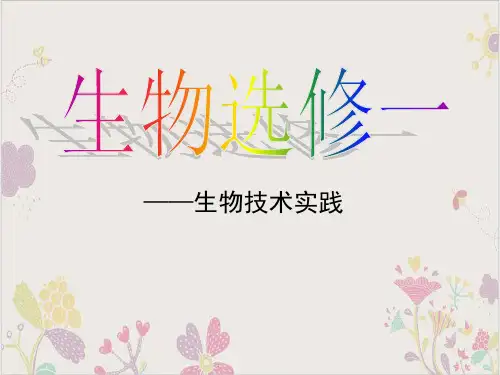 生物选修一《果酒和果醋的制作》实用PPT课件(原文)