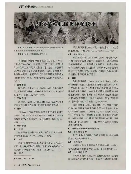 甜菜全程机械化种植技术