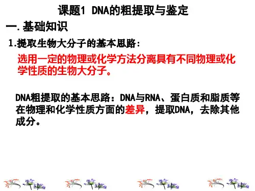 高中生物选修专题DNA和蛋白质技术
