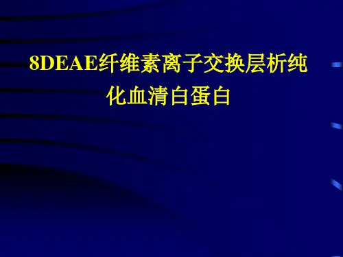8DEAE纤维素离子交换层析纯化血清白蛋白