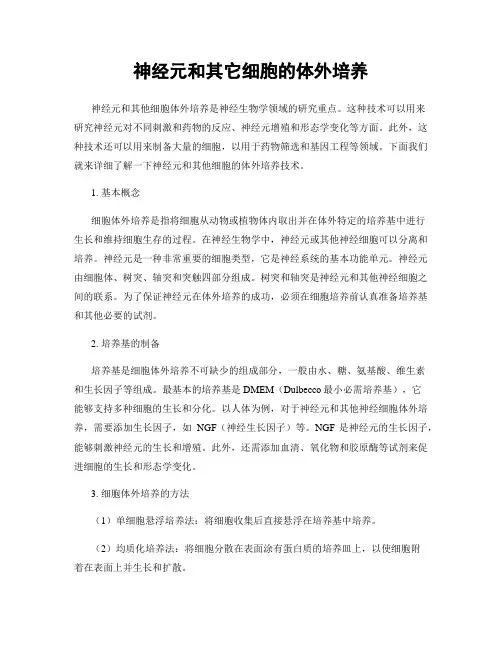神经元和其它细胞的体外培养