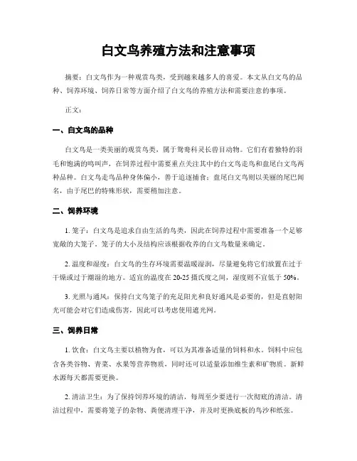 白文鸟养殖方法和注意事项