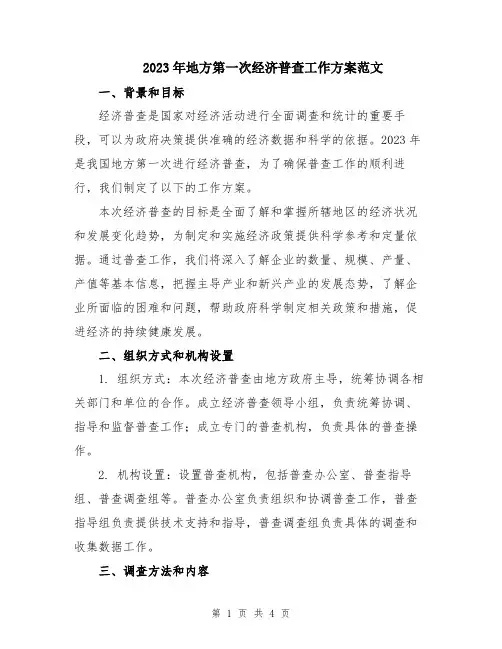 2023年地方第一次经济普查工作方案范文