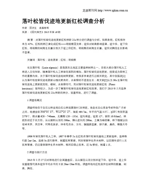 落叶松皆伐迹地更新红松调查分析